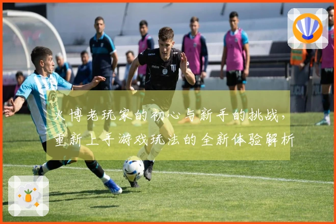 火博老玩家的初心与新手的挑战，重新上手游戏玩法的全新体验解析