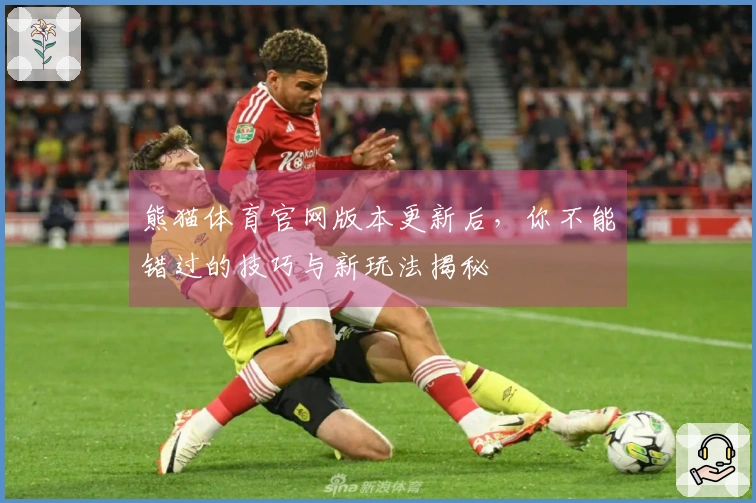 熊猫体育官网版本更新后，你不能错过的技巧与新玩法揭秘