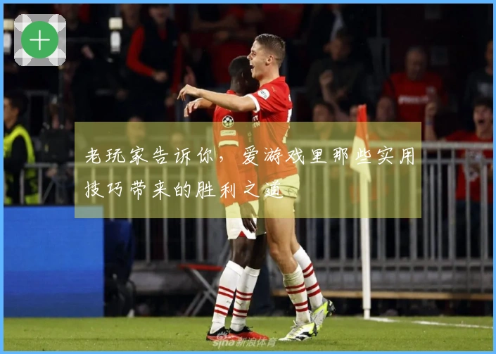 老玩家告诉你，爱游戏里那些实用技巧带来的胜利之道